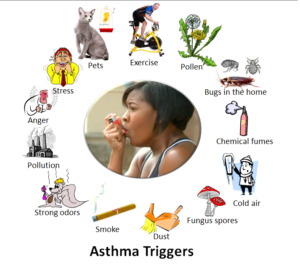 apa saja gejala asma