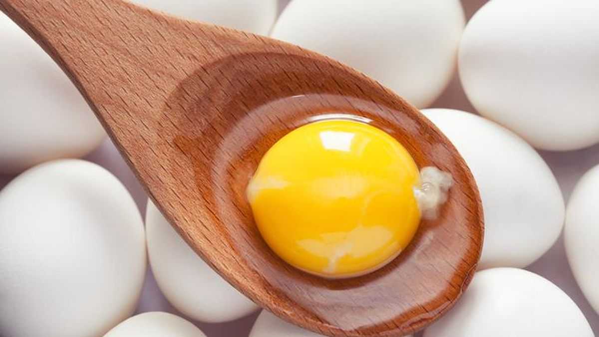 Kesehatan Tentang Kuning Telur